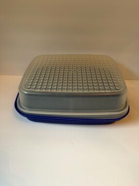 Tupperware "Season N Serve" Meat Marinade Container with Blue Lid Base 12x10x5